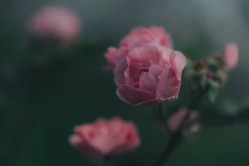 如何搞定毕业论文的写作格式？